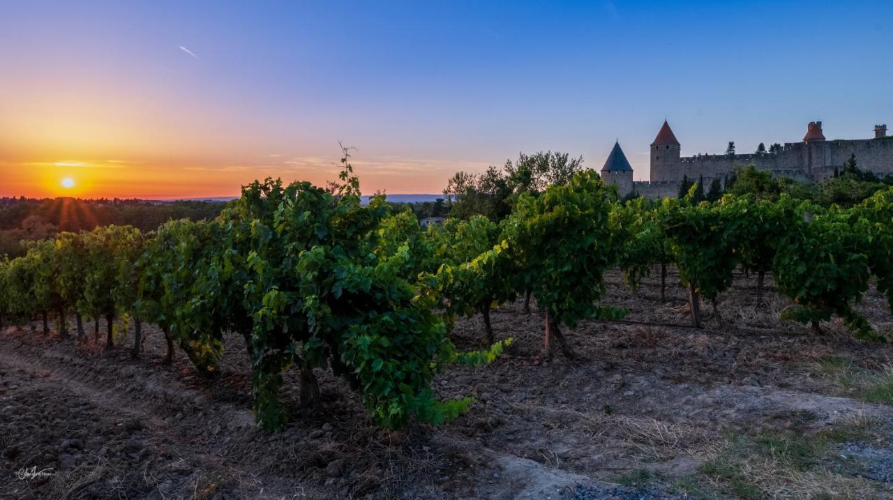 Hotel Cerise Carcassonne Sud Esterno foto