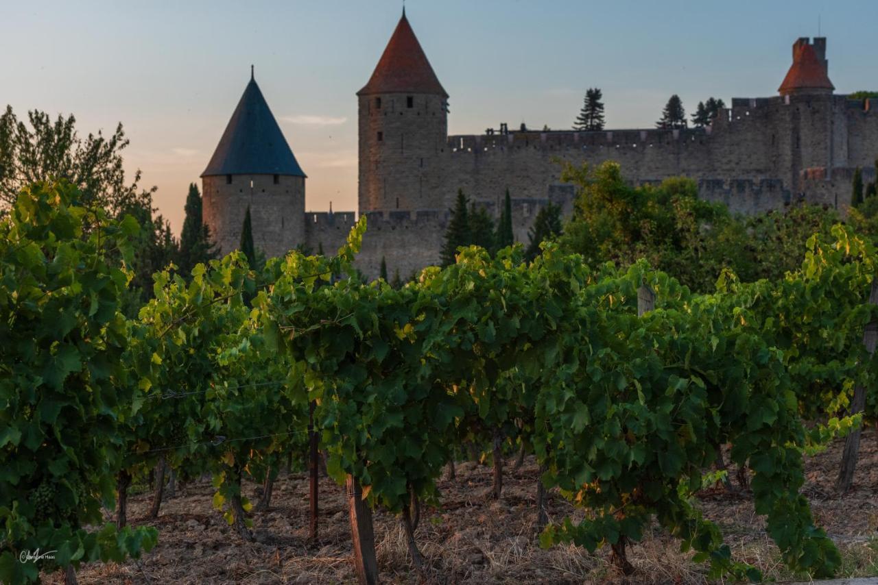 Hotel Cerise Carcassonne Sud Esterno foto